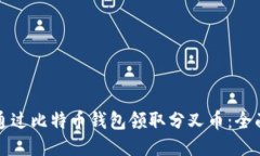 如何通过比特币钱包领取分叉币：全面指南