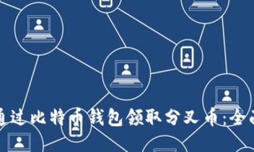 如何通过比特币钱包领取分叉币：全面指南