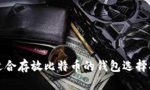 最适合存放比特币的钱包选择指南