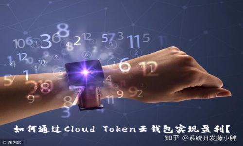 如何通过Cloud Token云钱包实现盈利？