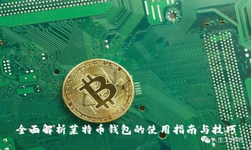 全面解析菜特币钱包的使用指南与技巧