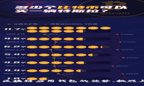 全面解析：区块链应用钱包的优势、挑战与未来发展