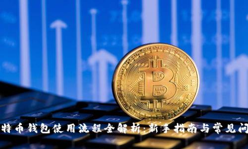 比特币钱包使用流程全解析：新手指南与常见问题