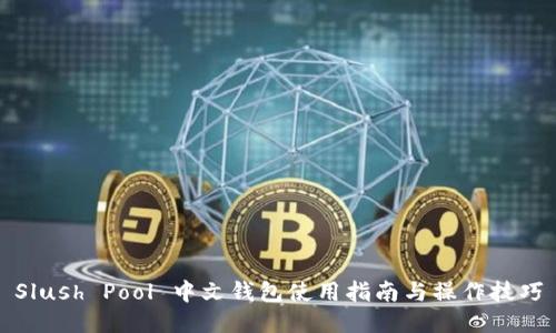 Slush Pool 中文钱包使用指南与操作技巧