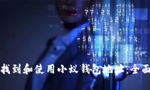 如何找到和使用小蚁钱包地址：全面指南