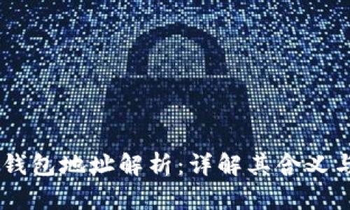 币君钱包地址解析：详解其含义与应用