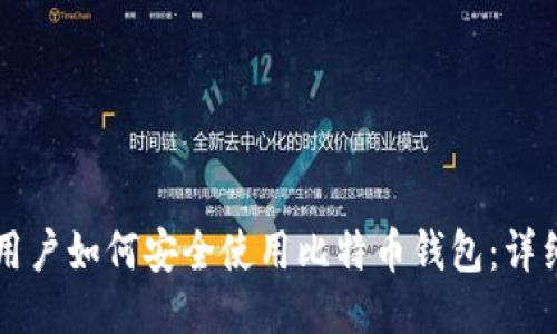 大陆用户如何安全使用比特币钱包：详细指南