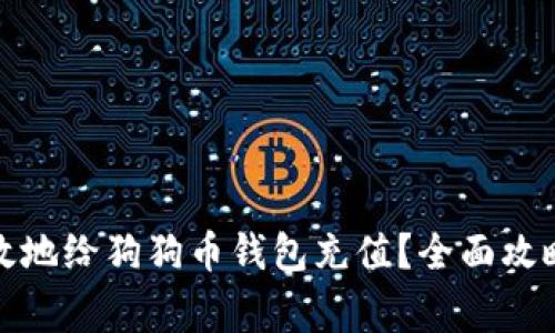 如何安全高效地给狗狗币钱包充值？全面攻略与注意事项