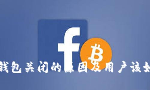 比特币钱包关闭的原因及用户该如何应对