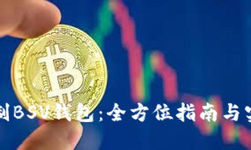 如何自制BSV钱包：全方位指南与实用技巧
