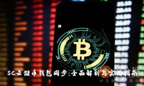 SC云储币钱包同步：全面解析与实用指南